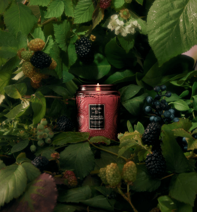 Voluspa INTERIØR Small Jar Candle Foraged Wildberry